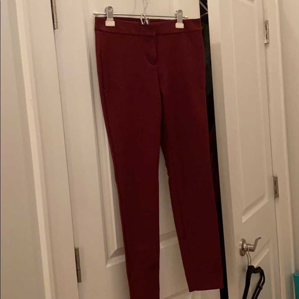 Express Maroon Pants